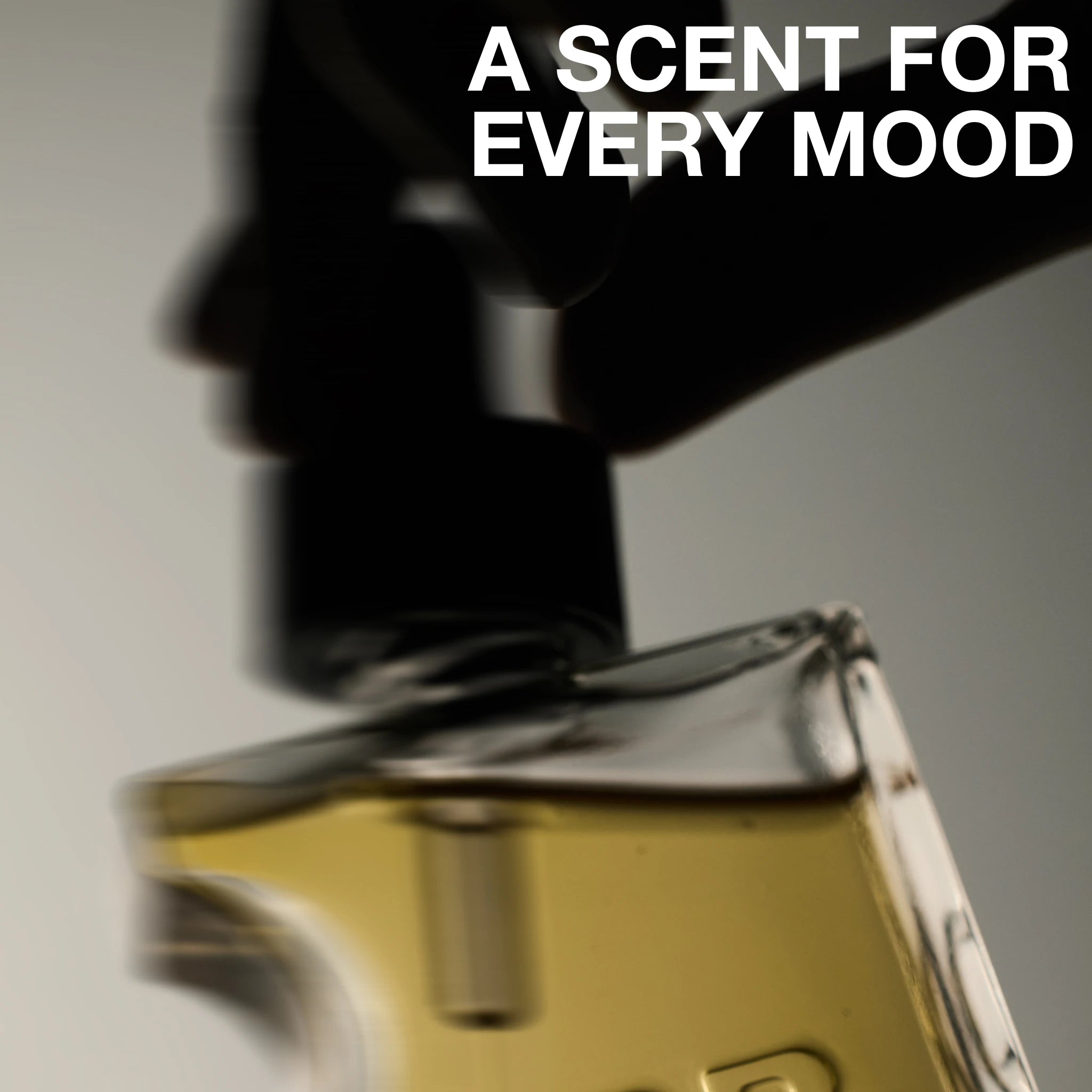 FRAGRANCE OIL-thumbmail-